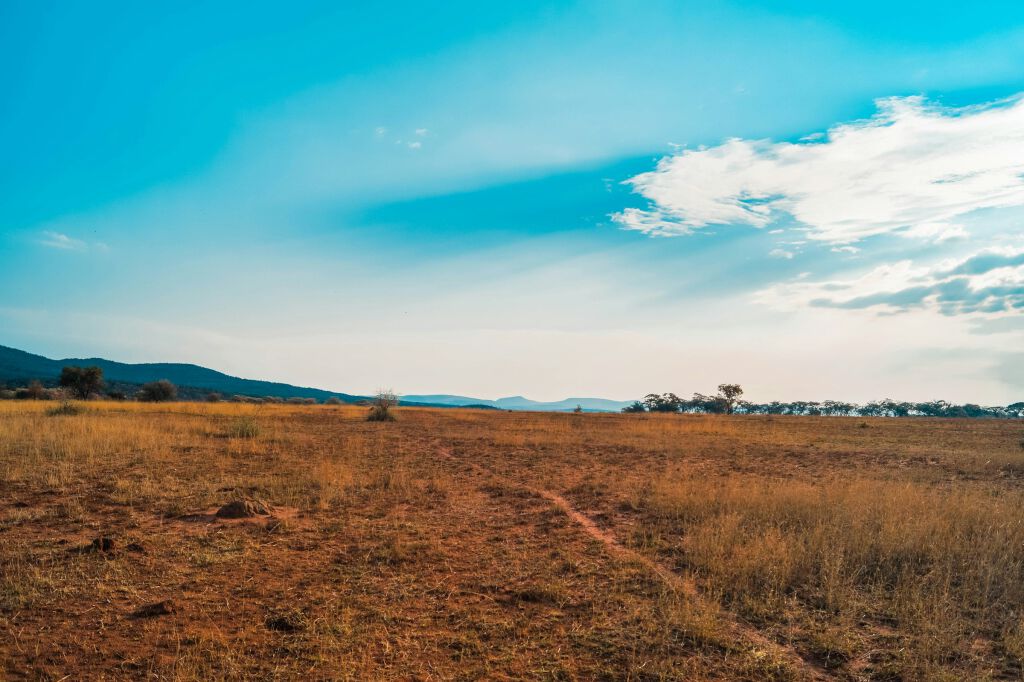 Grande plaine du territoire de chasse Blue Safari