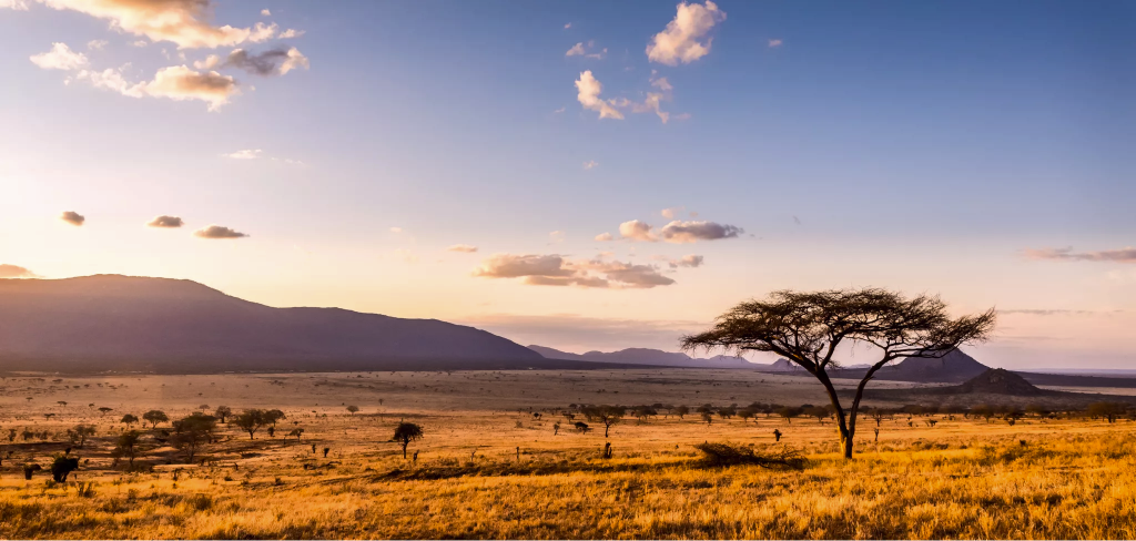 Savane au coucher du soleil, Limpopo
