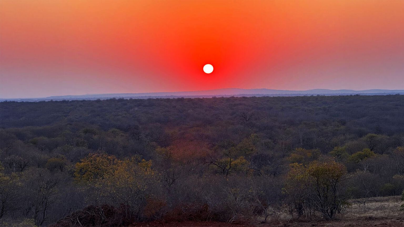 Coucher de soleil depuis le lodge Blue Safari