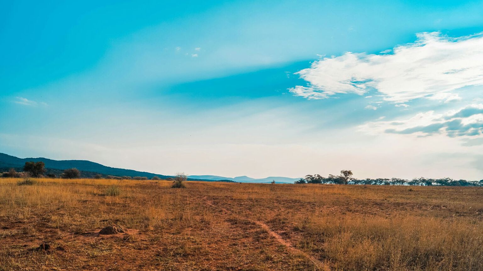Plaine ouverte dans le bush du Limpopo