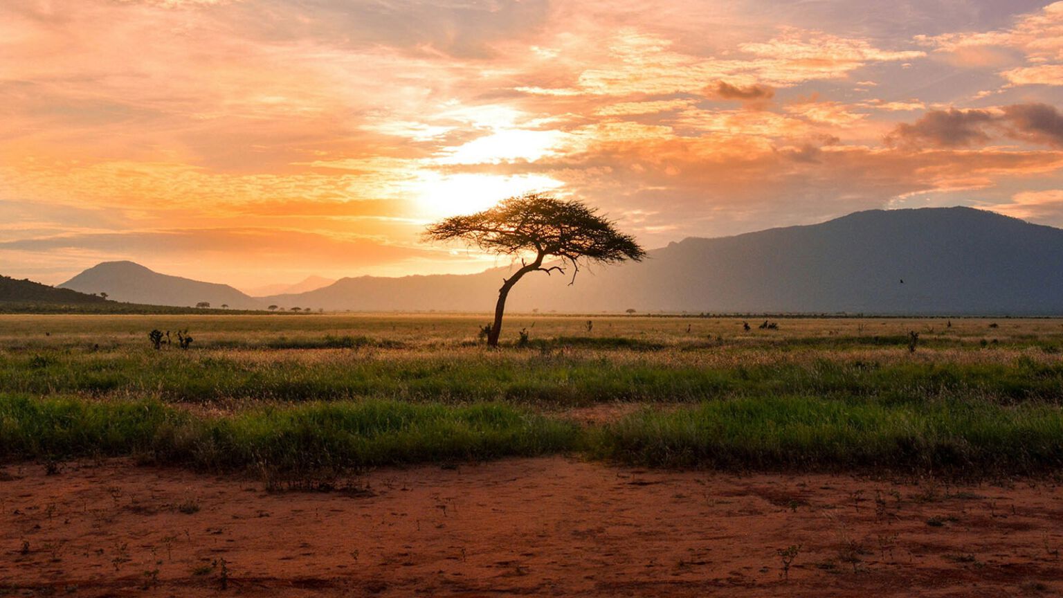 Savane du territoire Blue Safari, Limpopo