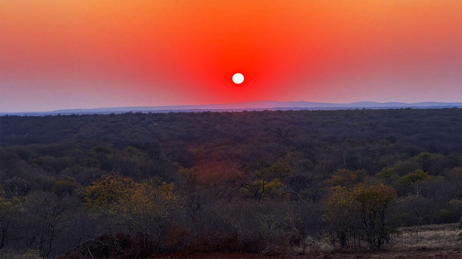 Soleil rouge sur le bush du Limpopo